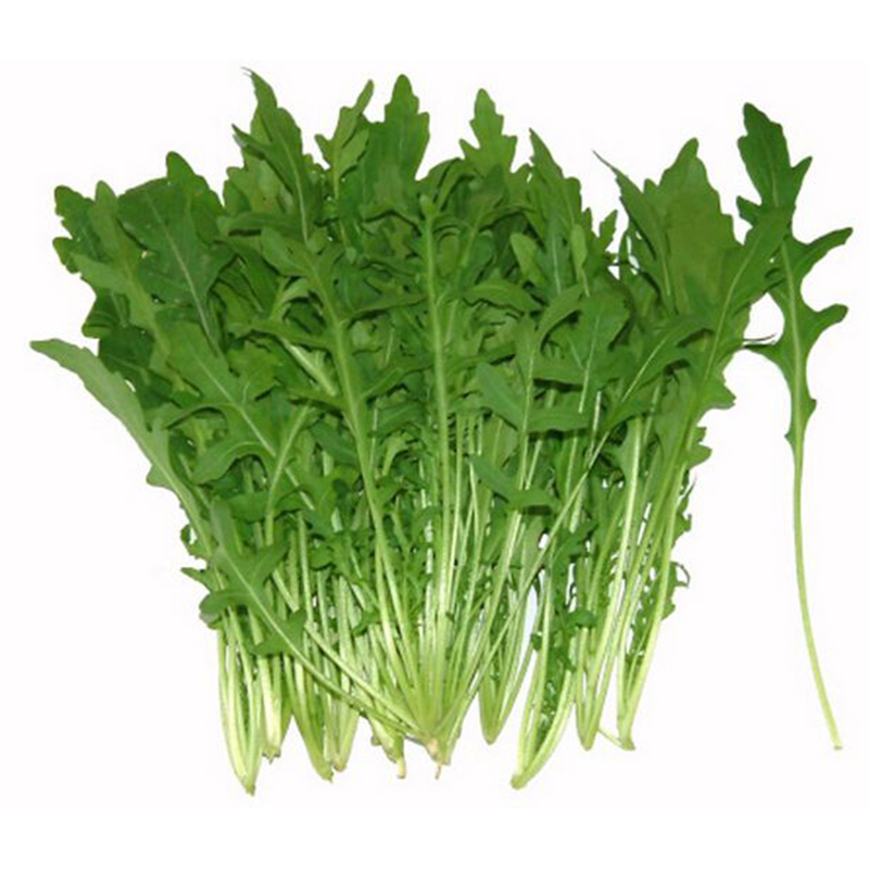Arugula(Rocket)